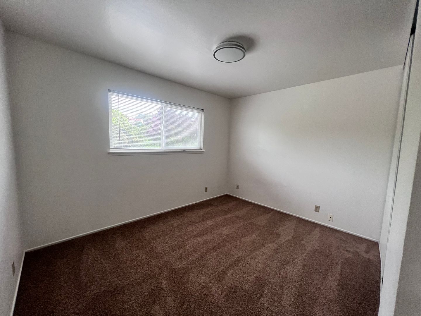 1176 Rex Road - Hayward - California - 2 bed, 1 bath rental property