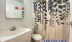 203 Jessie Street - Santa Cruz - California - 1 bed, 1 bath rental property