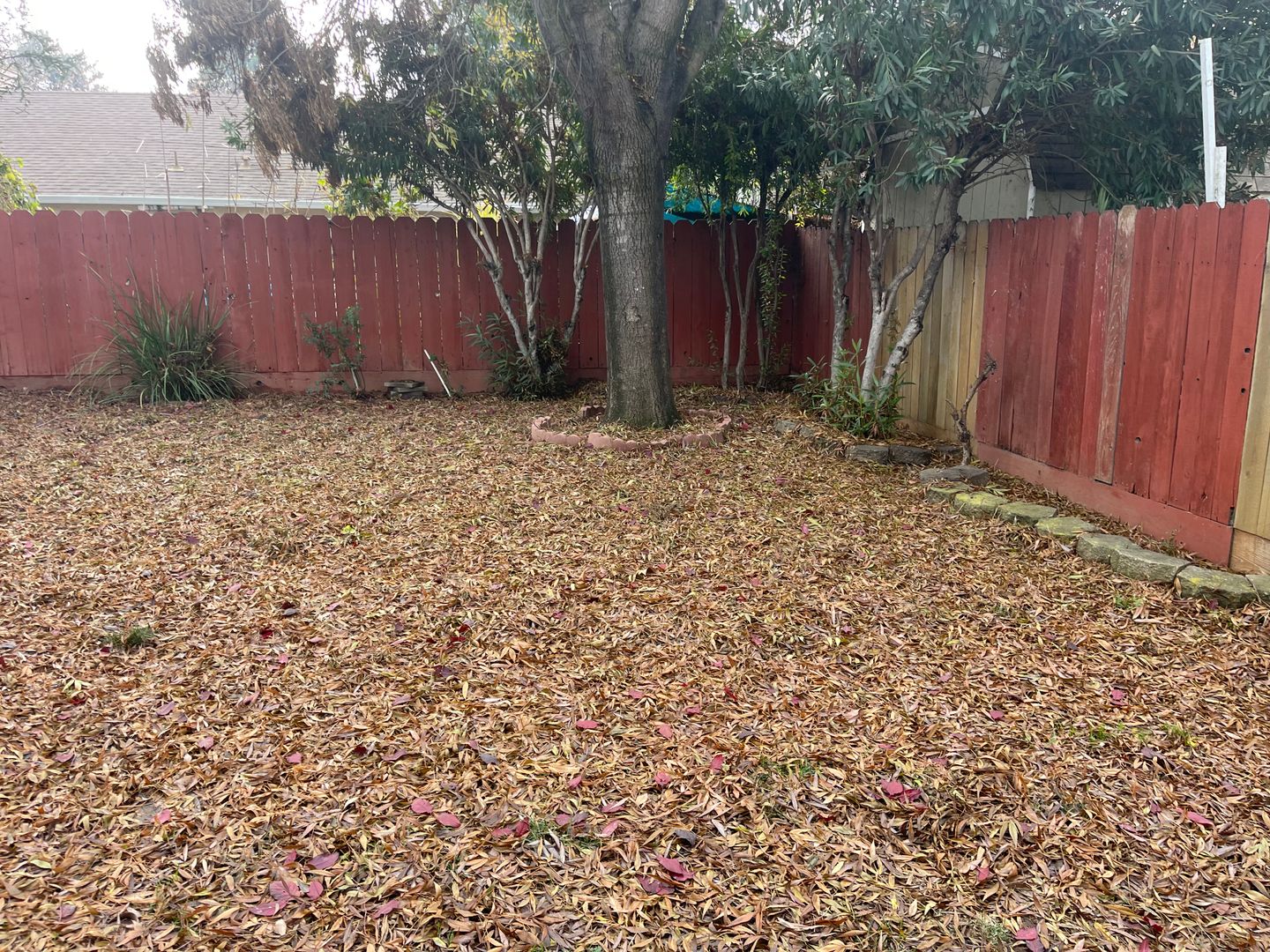 2234 Prestwick St - Stockton - California - 3 bed, 2.5 bath rental property