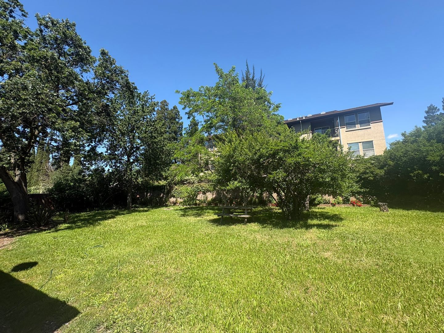 2511 Larkspur Ln.  - Sacramento - California - 3 bed, 3 bath rental property