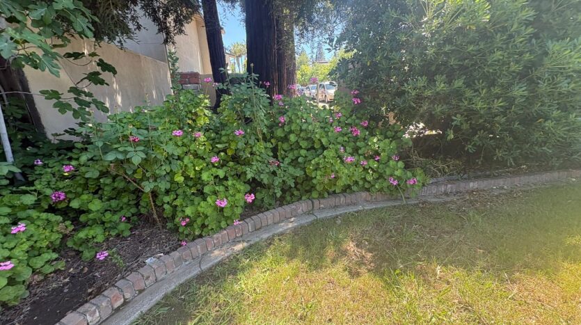 2511 Larkspur Ln.  - Sacramento - California - 3 bed, 3 bath rental property