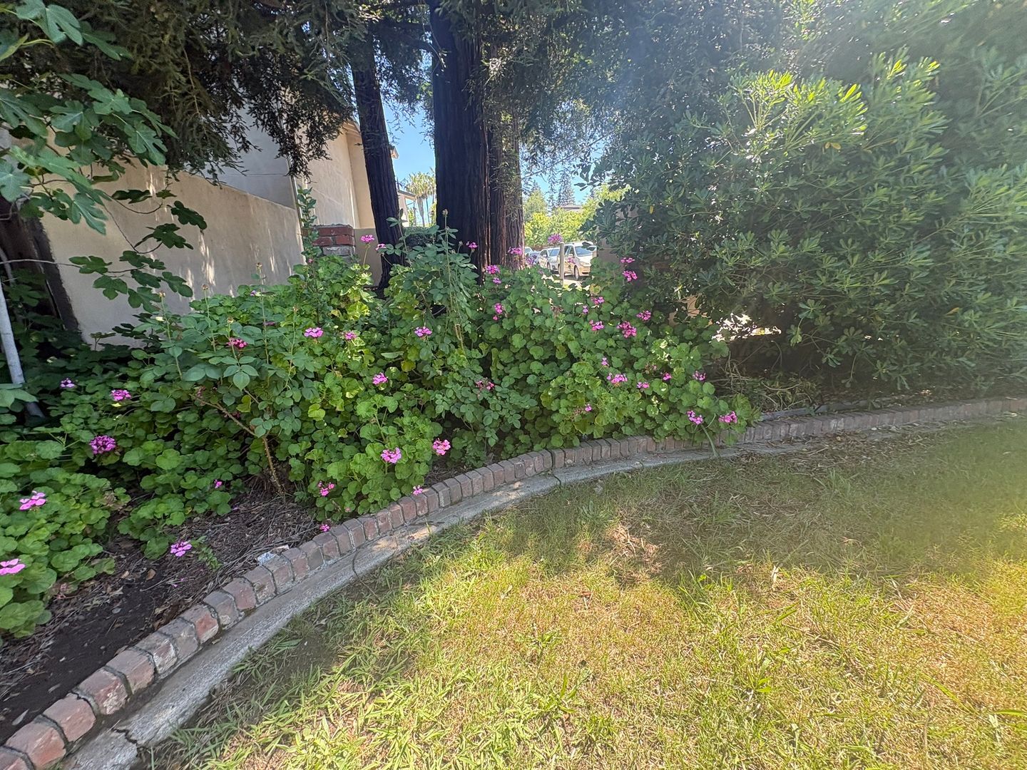 2511 Larkspur Ln.  - Sacramento - California - 3 bed, 3 bath rental property