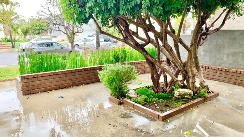 3491 Eboe St. - Irvine - California - 5 bed, 2.5 bath rental property