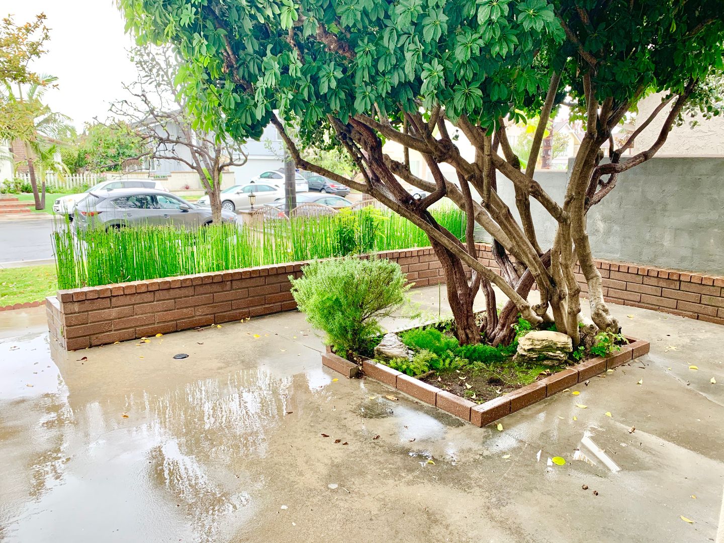 3491 Eboe St. - Irvine - California - 5 bed, 2.5 bath rental property