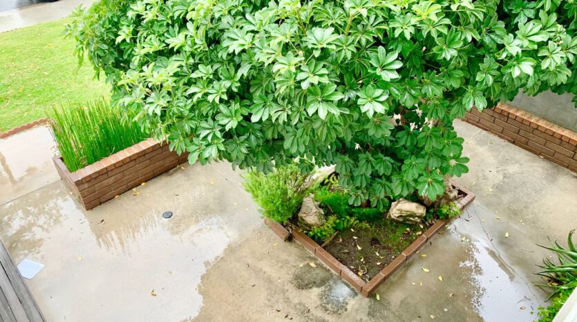 3491 Eboe St. - Irvine - California - 5 bed, 2.5 bath rental property