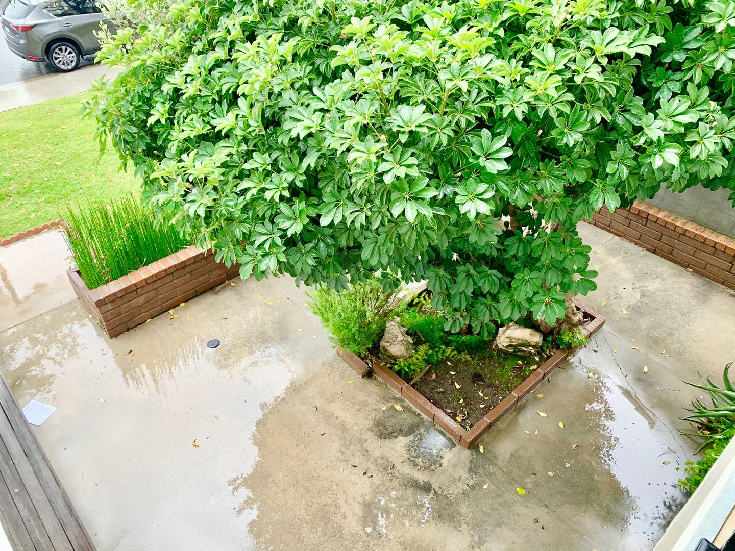 3491 Eboe St. - Irvine - California - 5 bed, 2.5 bath rental property