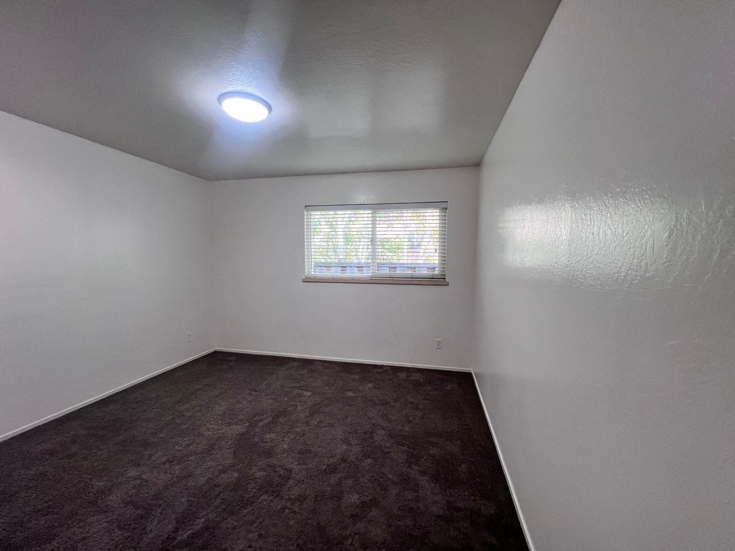 37565 2nd St - Fremont - California - 3 bed, 2 bath rental property