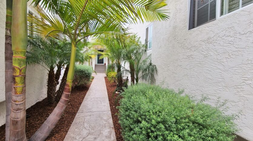 3965 Hamilton Street  - San Diego - California - 1 bed, 1 bath rental property