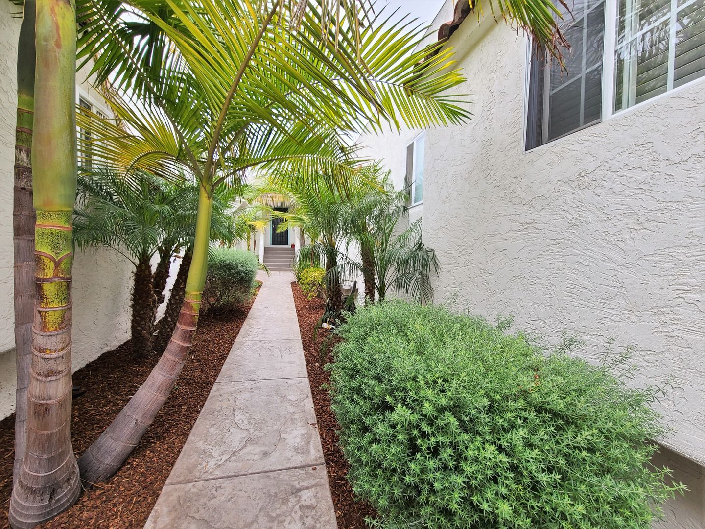 3965 Hamilton Street  - San Diego - California - 1 bed, 1 bath rental property