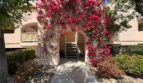 500 East Amado Rd Unit 510 - Palm Springs - California - 1 bed, 2 bath rental property