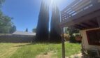535 N Harbor Blvd  - West Sacramento - California - 1 bed, 1 bath rental property