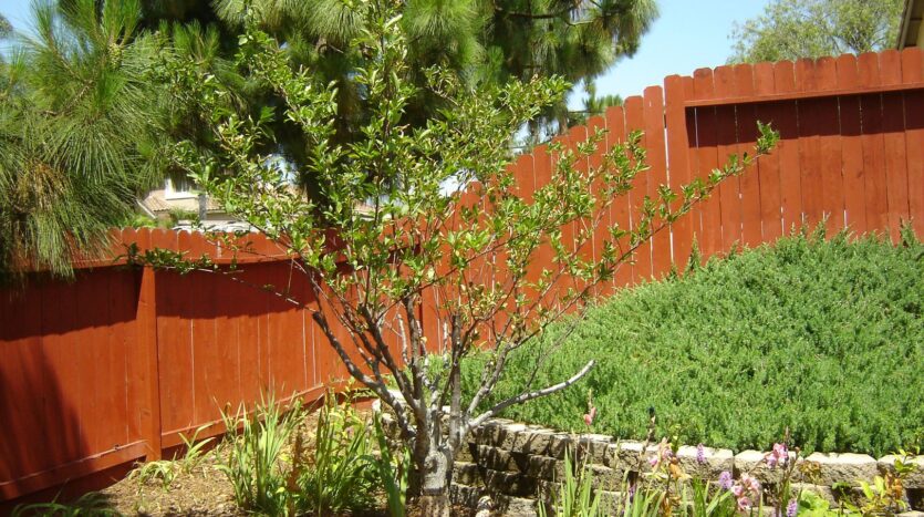 5501 Starlight Avenue - Oceanside - California - 3 bed, 2 bath rental property