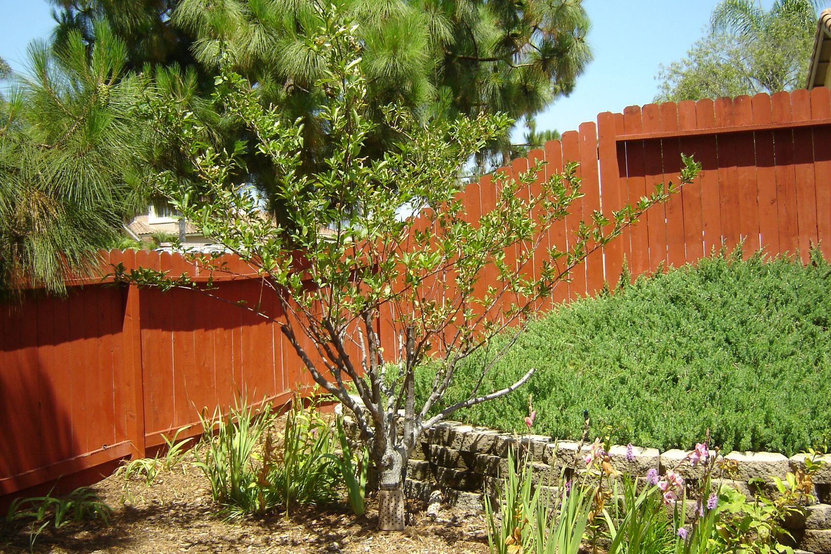 5501 Starlight Avenue - Oceanside - California - 3 bed, 2 bath rental property