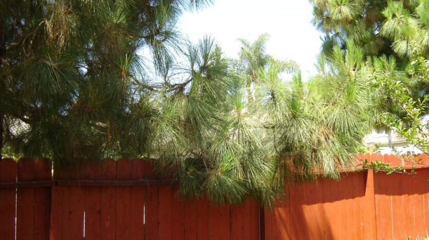 5501 Starlight Avenue - Oceanside - California - 3 bed, 2 bath rental property