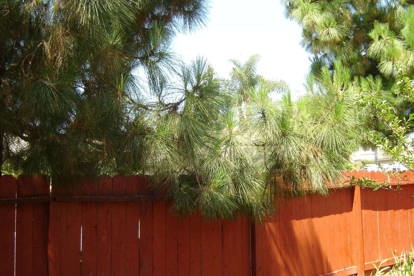 5501 Starlight Avenue - Oceanside - California - 3 bed, 2 bath rental property