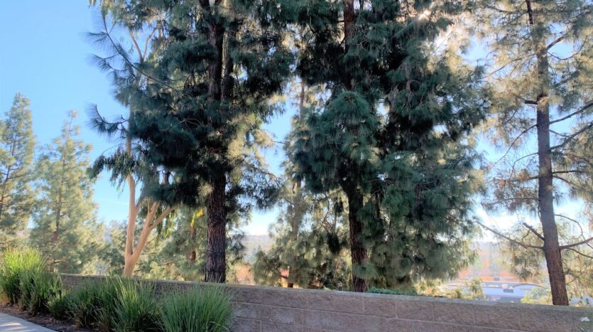 70 Coventry Ln - Aliso Viejo - California - 2 bed, 2 bath rental property