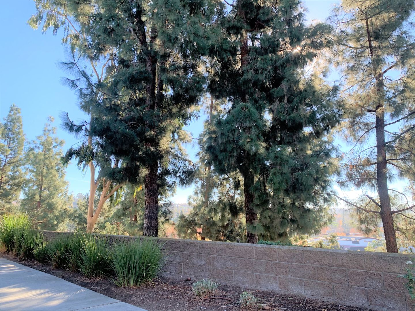 70 Coventry Ln - Aliso Viejo - California - 2 bed, 2 bath rental property