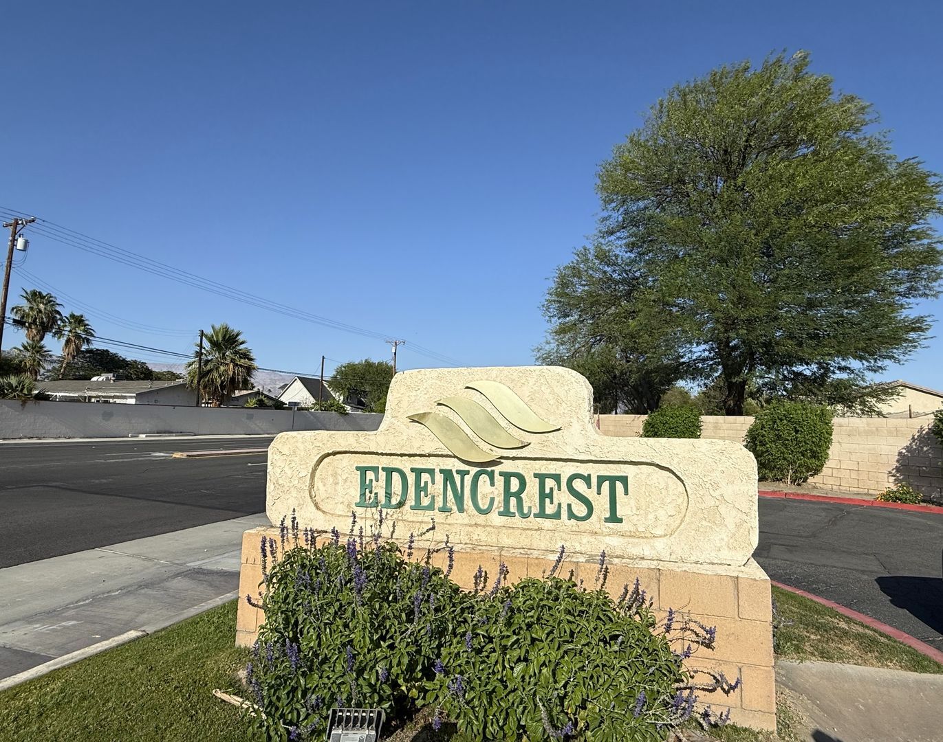 81351 Fred Waring Drive - Unit 218 - Indio - California - 2 bed, 1 bath rental property