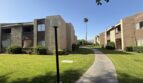 81351 Fred Waring Drive - Unit 218 - Indio - California - 2 bed, 1 bath rental property