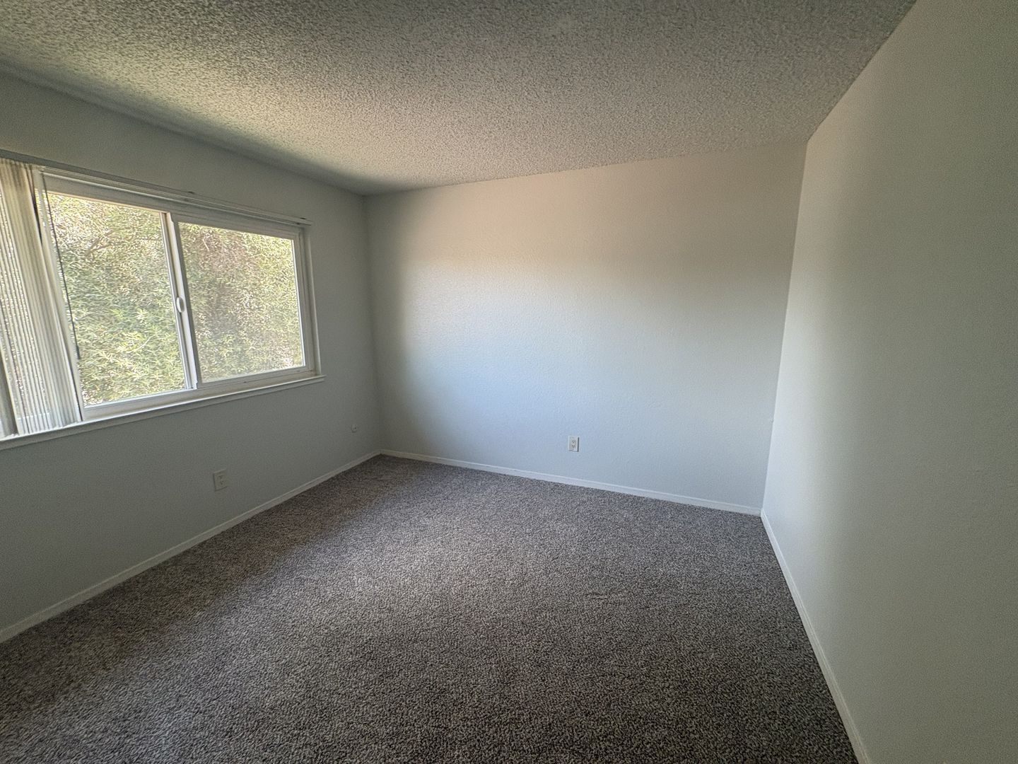 901 Carro Drive  Unit #3 - Sacramento - California - 2 bed, 1 bath rental property