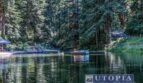 1068 Laurel Avenue - Felton - California - 4 bed, 2 bath rental property