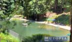 1068 Laurel Avenue - Felton - California - 4 bed, 2 bath rental property