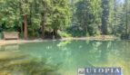 1068 Laurel Avenue - Felton - California - 4 bed, 2 bath rental property