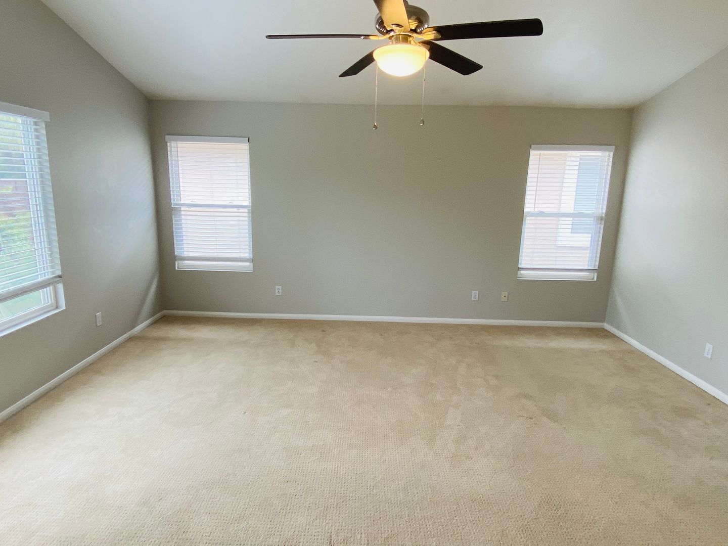 1162 Alexandra - Encinitas - California - 4 bed, 3 bath rental property