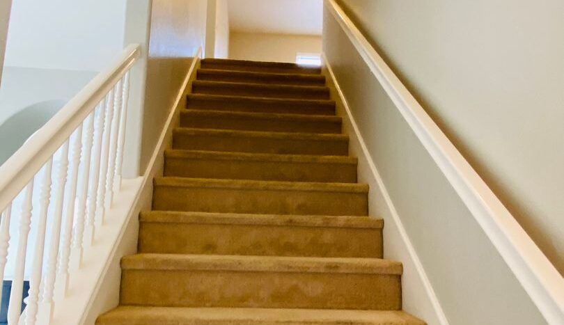 1162 Alexandra - Encinitas - California - 4 bed, 3 bath rental property