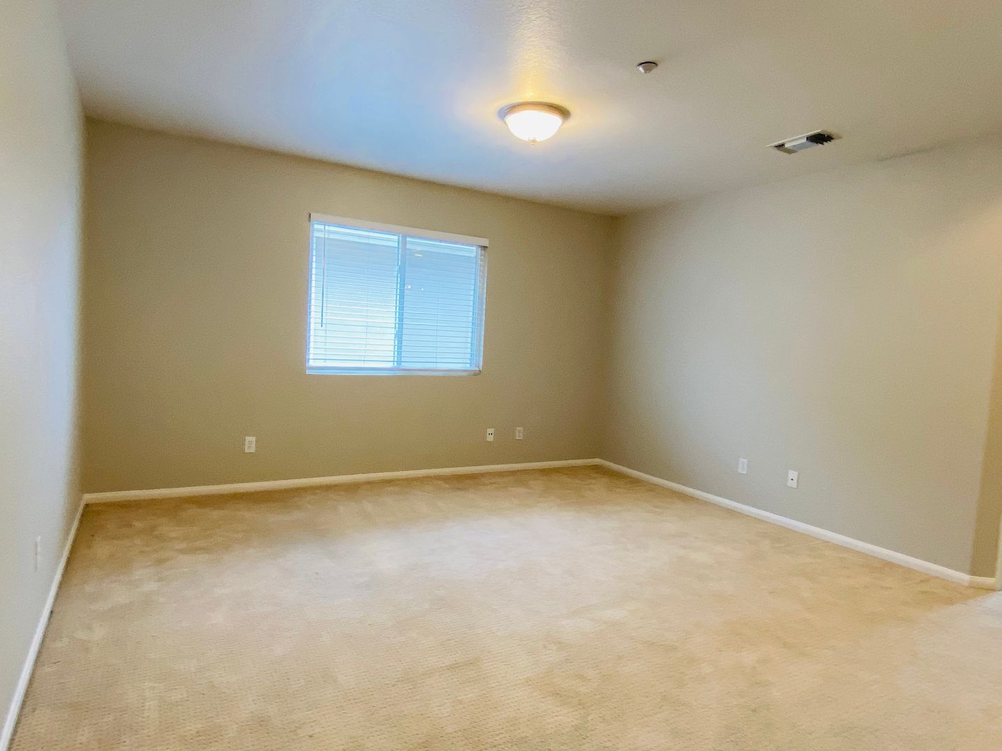 1162 Alexandra - Encinitas - California - 4 bed, 3 bath rental property