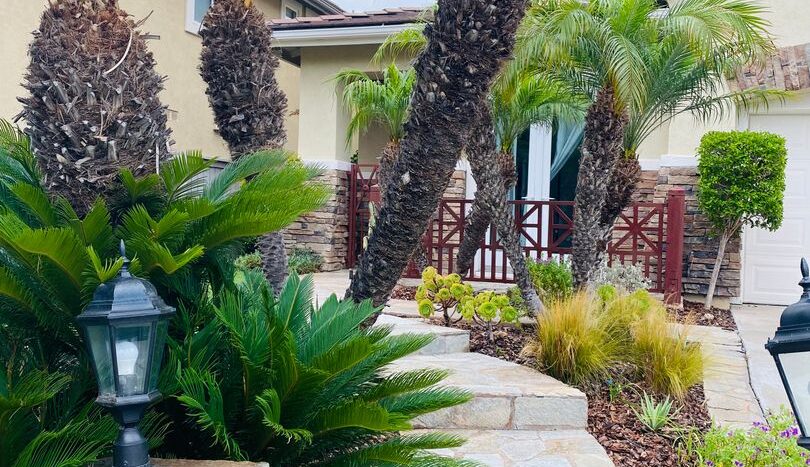 1162 Alexandra - Encinitas - California - 4 bed, 3 bath rental property