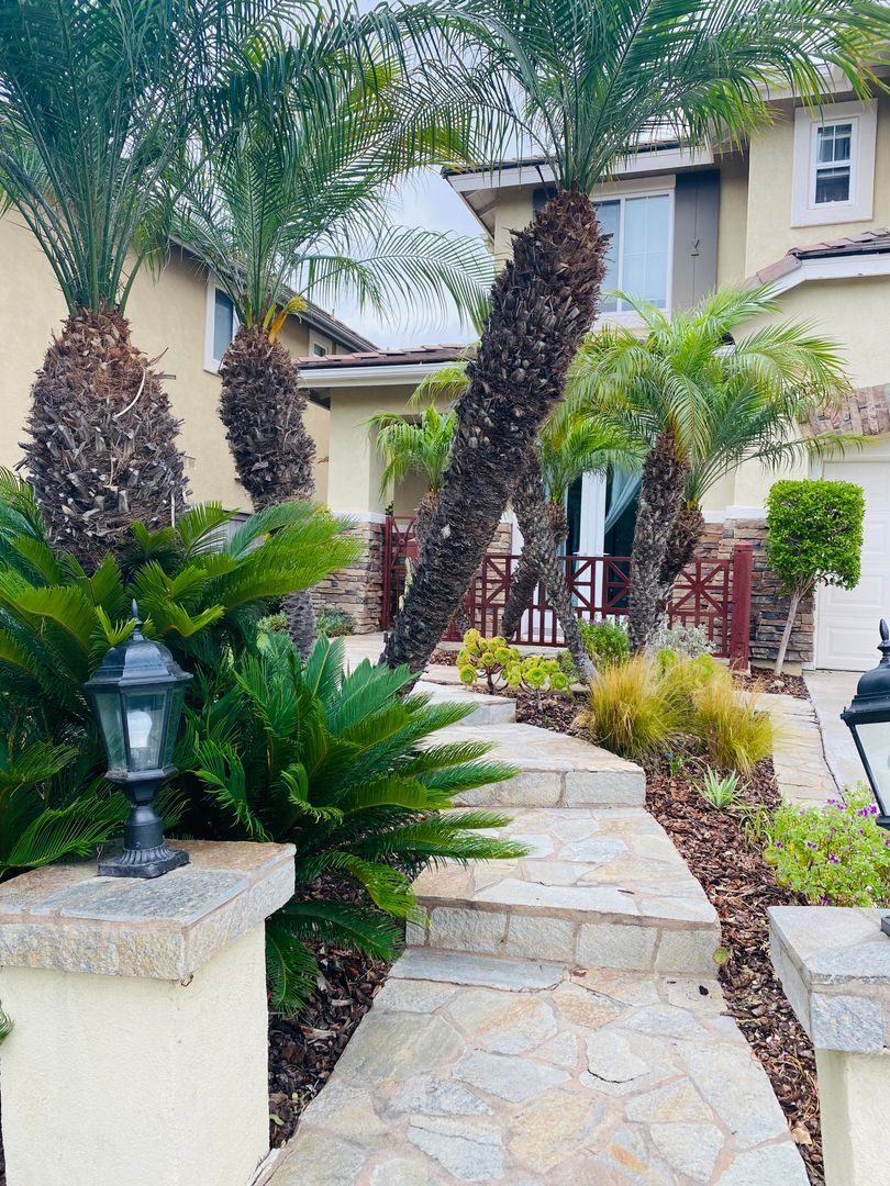1162 Alexandra - Encinitas - California - 4 bed, 3 bath rental property