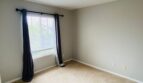 1162 Alexandra - Encinitas - California - 4 bed, 3 bath rental property