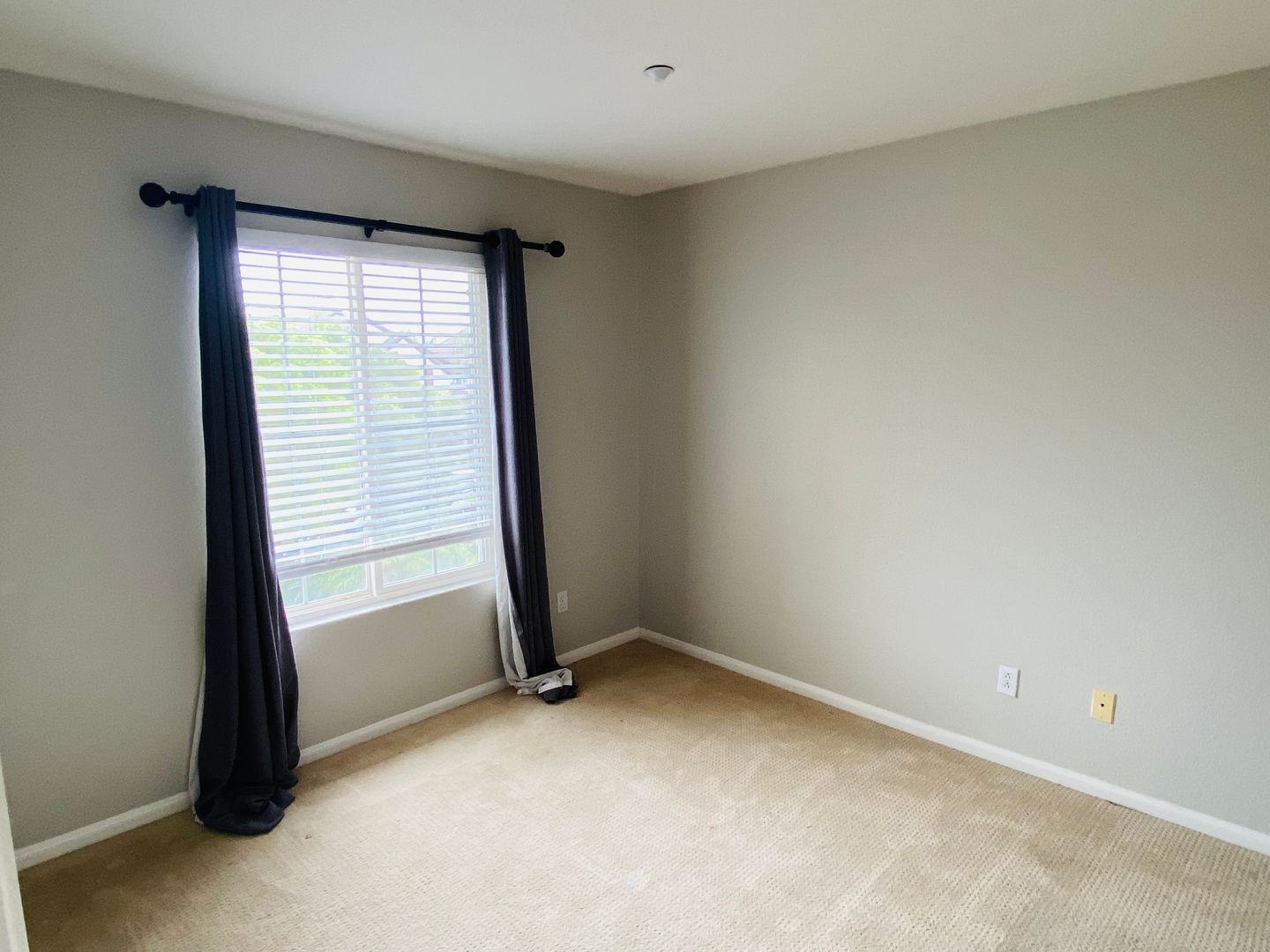 1162 Alexandra - Encinitas - California - 4 bed, 3 bath rental property
