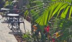 1403 Hermes Ave #A - Encinitas - California - 2 bed, 1 bath rental property