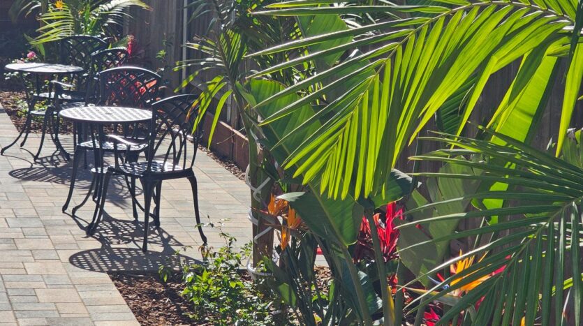 1403 Hermes Ave #A - Encinitas - California - 2 bed, 1 bath rental property