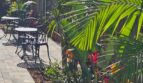 1403 Hermes Ave #C - Encinitas - California - 2 bed, 1 bath rental property