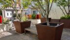 1556 Brunswig Lane - Emeryville - California - 2 bed, 2 bath rental property