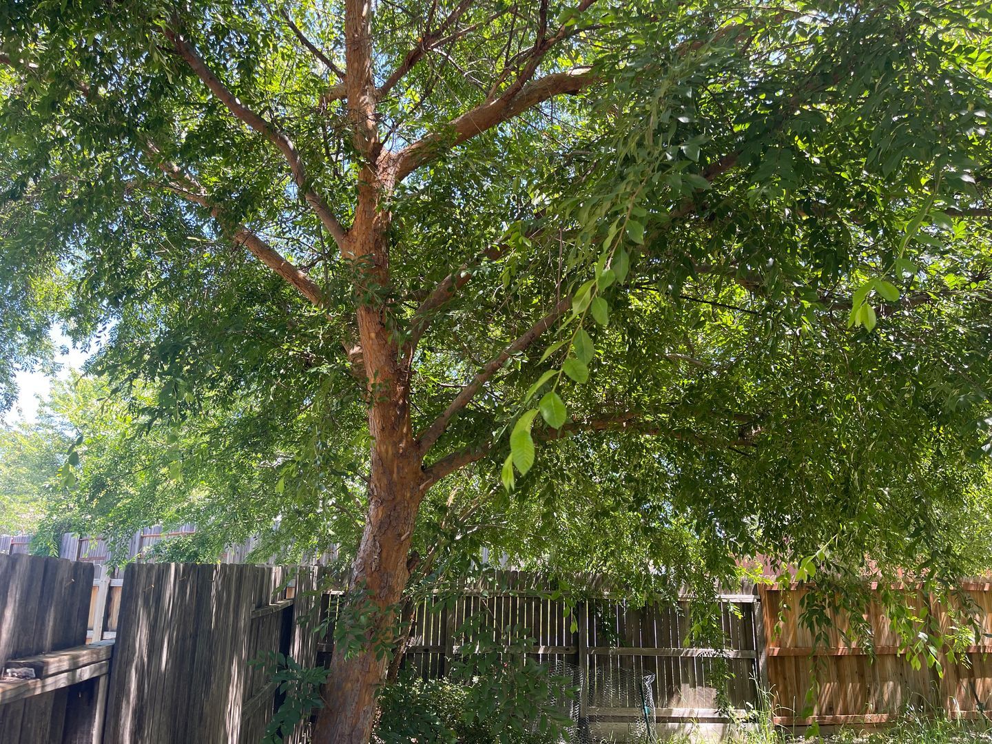 179 Gold Creek Drive - Valley Springs - California - 3 bed, 2.5 bath rental property