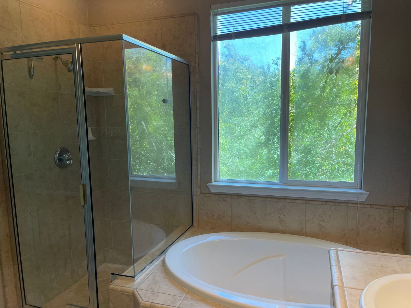 179 Gold Creek Drive - Valley Springs - California - 3 bed, 2.5 bath rental property