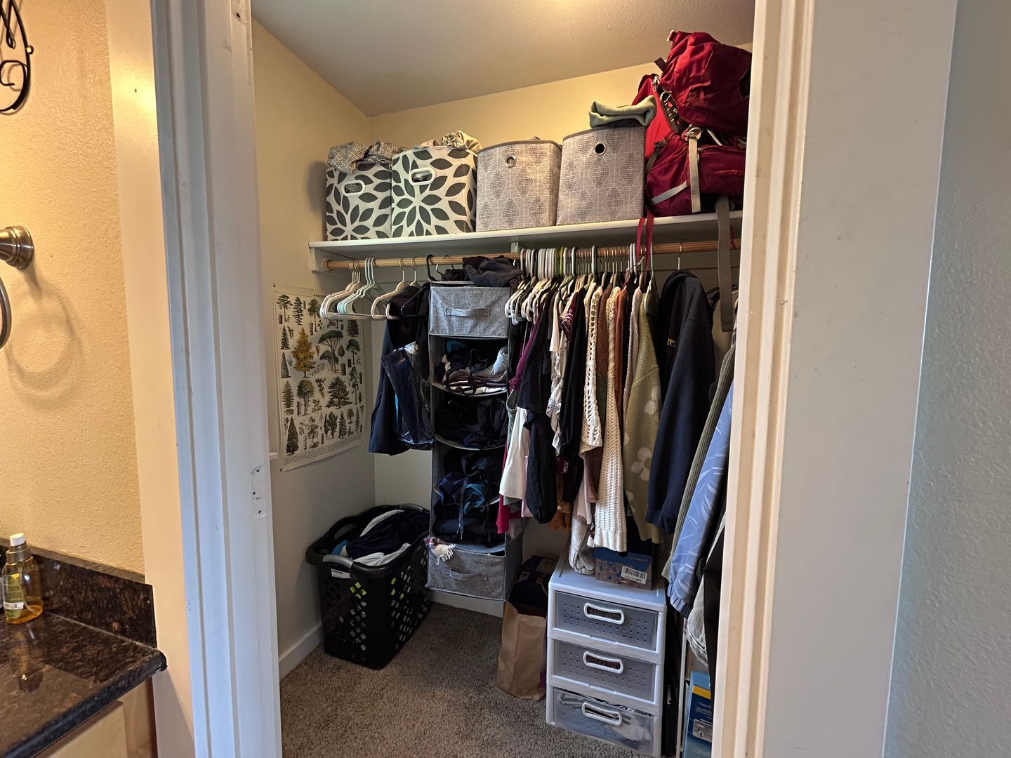 213 BAYSIDE RD - Bellingham - Washington - 4 bed, 3 bath rental property