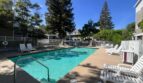 250 Santa Fe #303 - Sunnyvale - California - 2 bed, 2 bath rental property