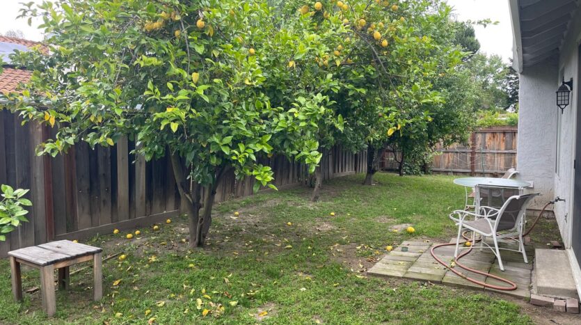 3712 McDougald Blvd - Stockton - California - 3 bed, 2 bath rental property
