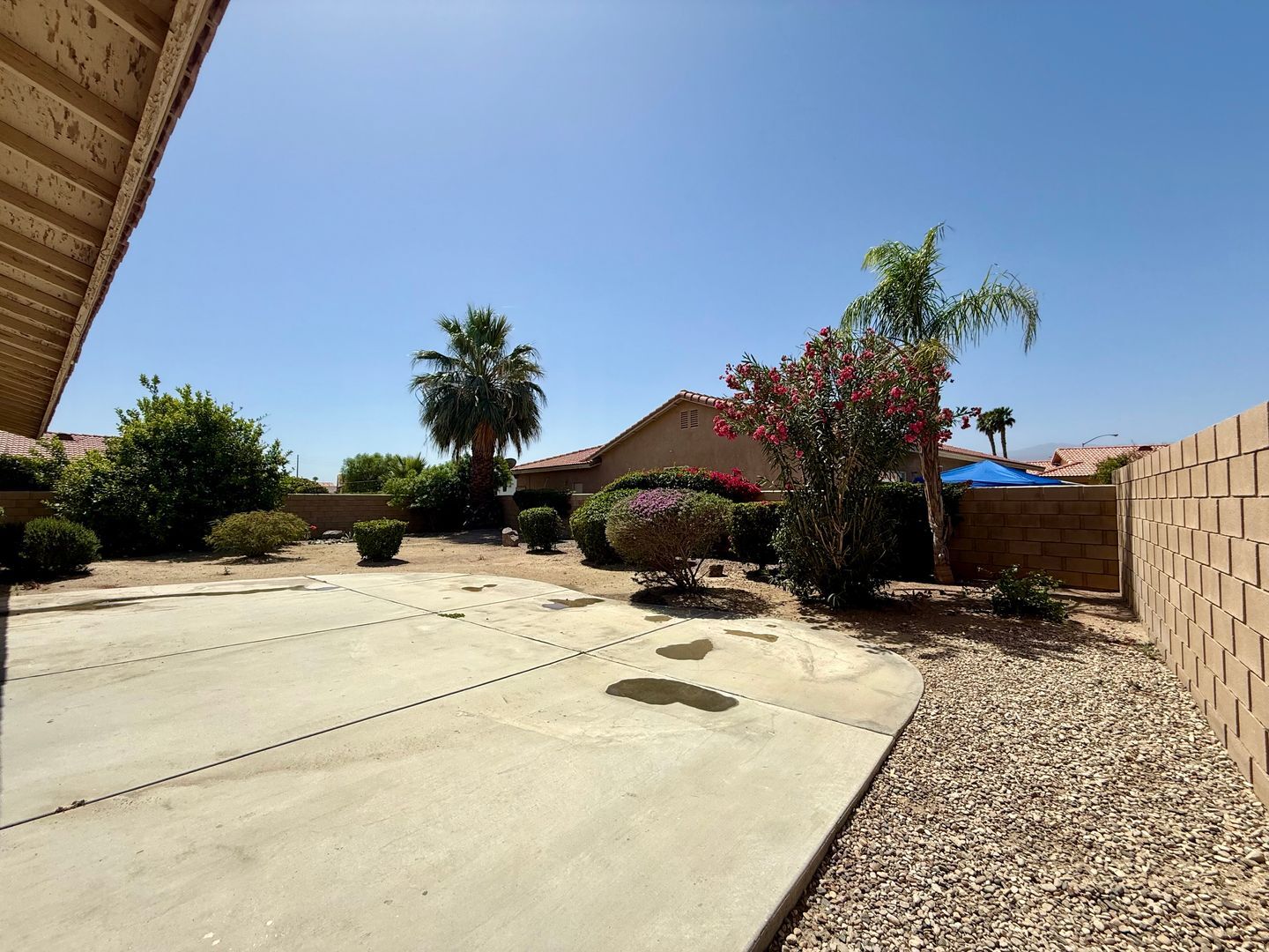 43615 Roebelenii Way - Indio - California - 3 bed, 2 bath rental property