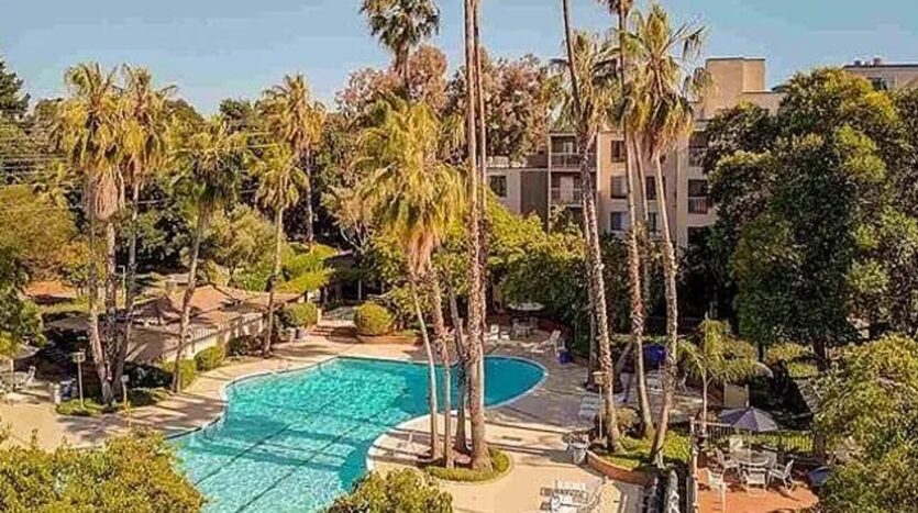 450 N CIVIC DR Apt 503 - Walnut Creek - California - 1 bed, 1 bath rental property