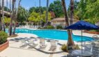 450 N CIVIC DR Apt 503 - Walnut Creek - California - 1 bed, 1 bath rental property