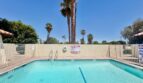 561 Desert View Drive - Unit 03 - Palm Springs - California - 2 bed, 1 bath rental property