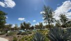 632 Rock Crest Ave. - Madera - California - 3 bed, 2 bath rental property