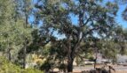 7469 Gabor Street - Valley Springs - California - 4 bed, 2.5 bath rental property