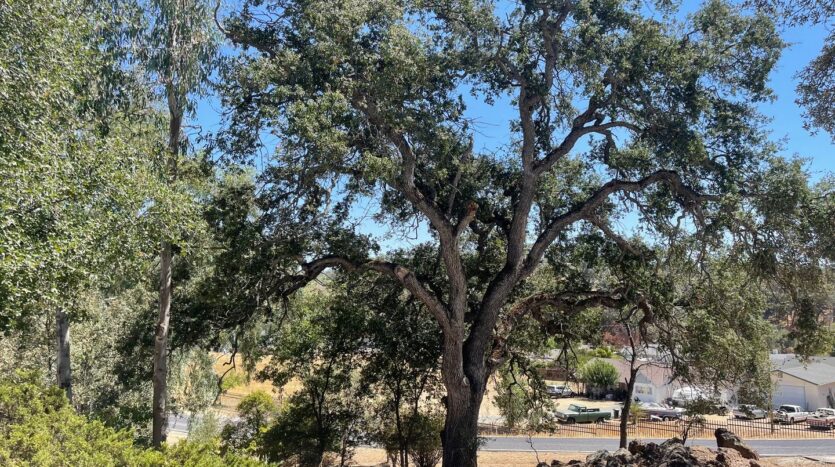 7469 Gabor Street - Valley Springs - California - 4 bed, 2.5 bath rental property